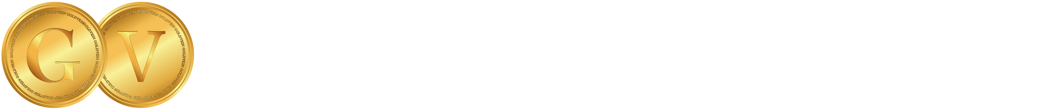 GOLDVEIN株式会社